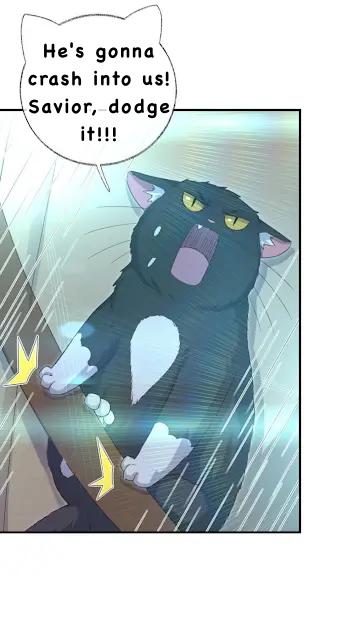 Read Pay Me Back, Mr. Cat chapter 27 image 5 on Lezhin