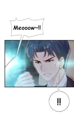 Read Pay Me Back, Mr. Cat chapter 27 image 6 on Lezhin