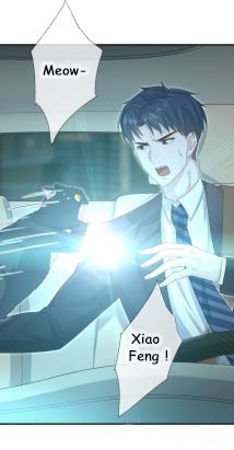 Read Pay Me Back, Mr. Cat chapter 27 image 7 on Lezhin