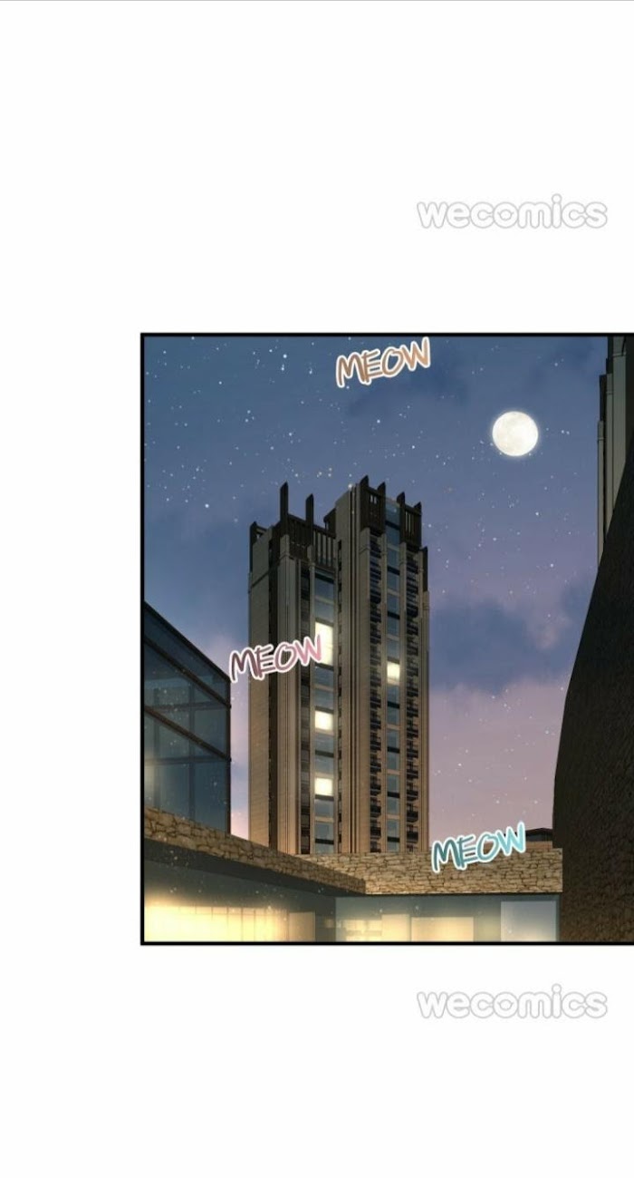 Read Pay Me Back, Mr. Cat chapter 3 image 27 on Lezhin