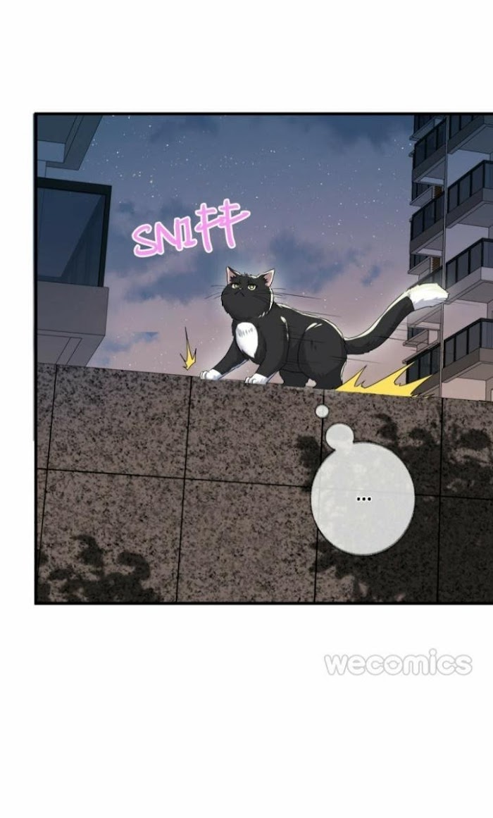 Read Pay Me Back, Mr. Cat chapter 3 image 29 on Lezhin