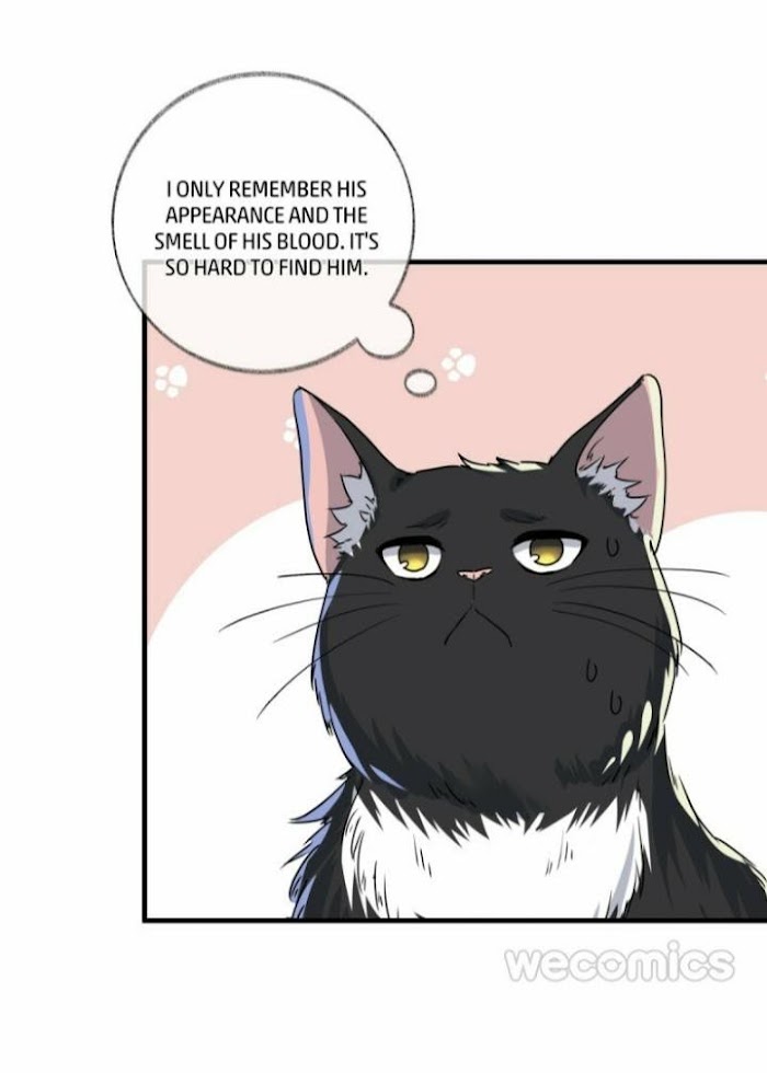 Read Pay Me Back, Mr. Cat chapter 3 image 30 on Lezhin