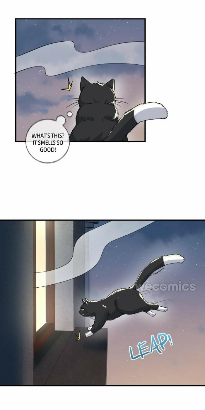 Read Pay Me Back, Mr. Cat chapter 3 image 31 on Lezhin
