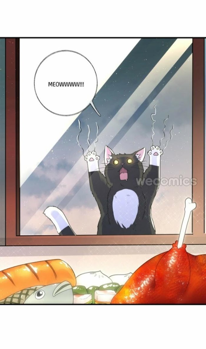 Read Pay Me Back, Mr. Cat chapter 3 image 32 on Lezhin