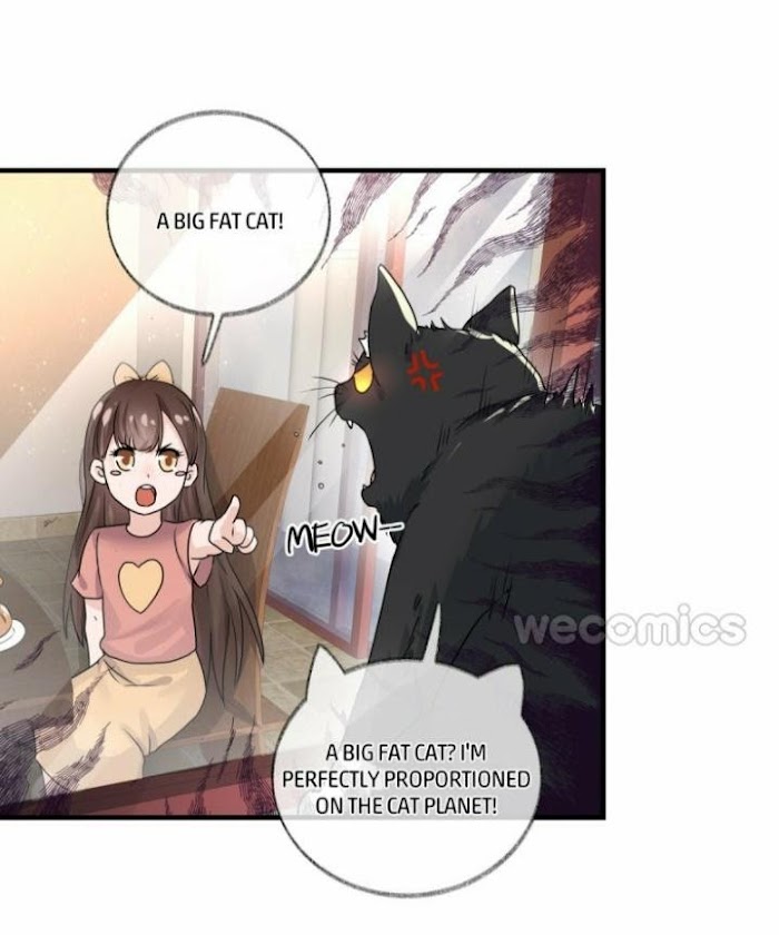 Read Pay Me Back, Mr. Cat chapter 3 image 33 on Lezhin