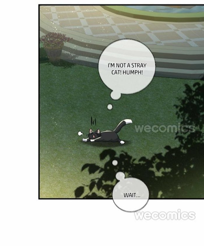 Read Pay Me Back, Mr. Cat chapter 3 image 35 on Lezhin