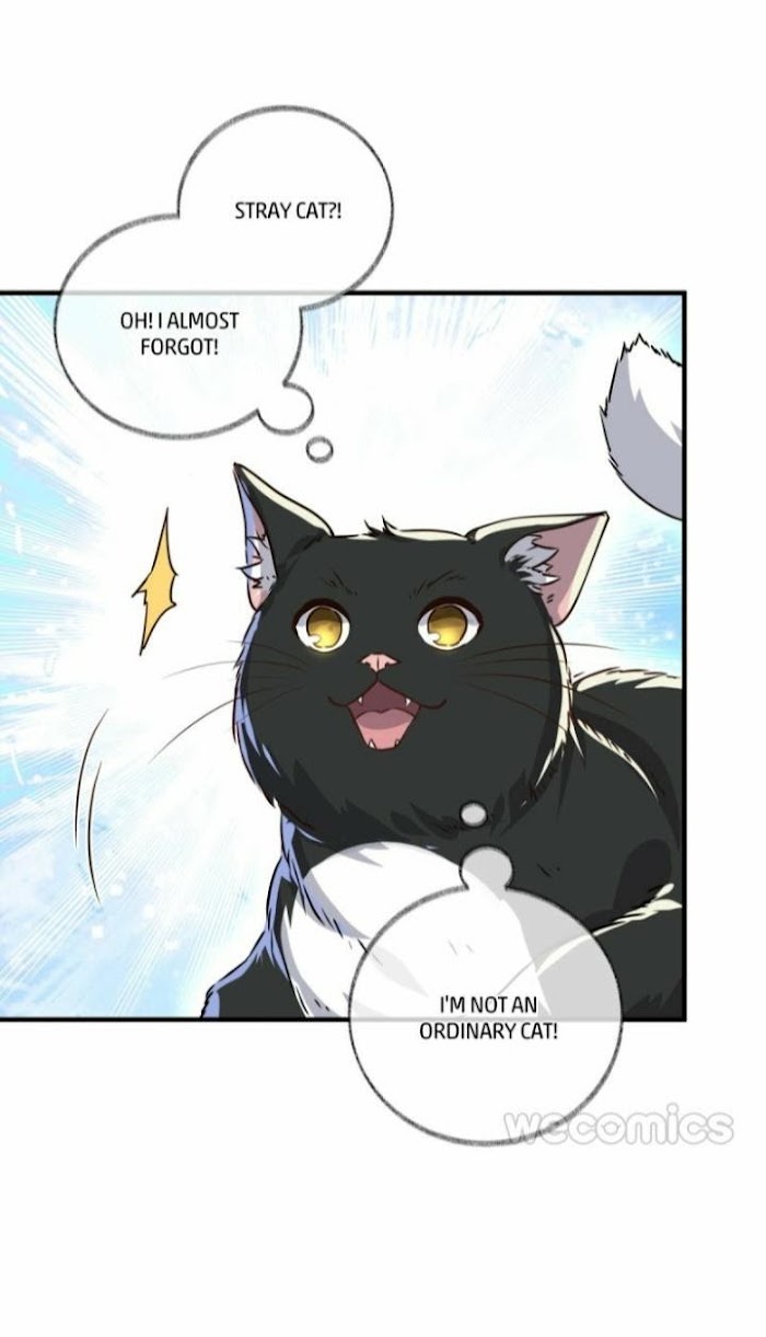 Read Pay Me Back, Mr. Cat chapter 3 image 36 on Lezhin