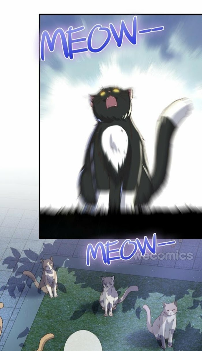 Read Pay Me Back, Mr. Cat chapter 3 image 37 on Lezhin