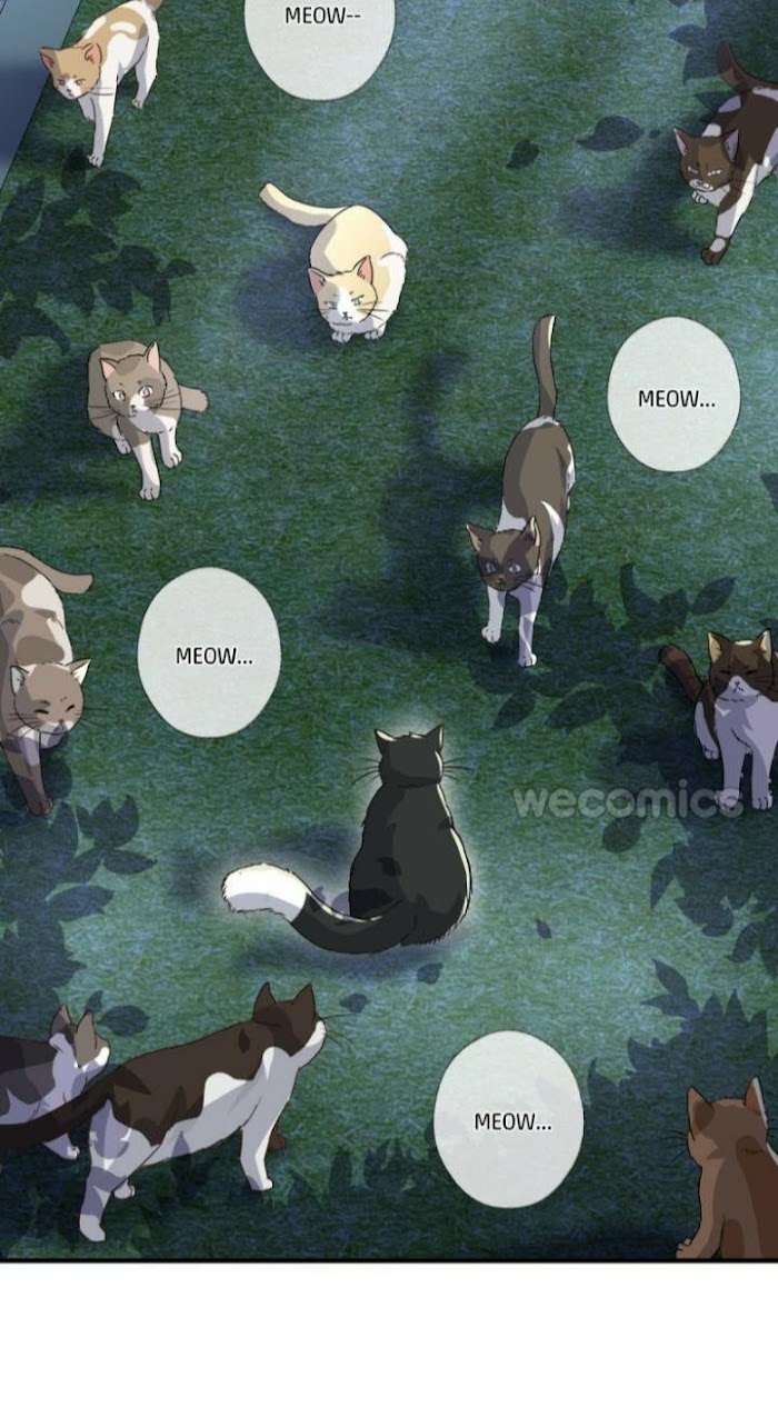 Read Pay Me Back, Mr. Cat chapter 3 image 38 on Lezhin