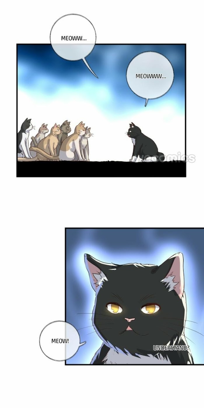 Read Pay Me Back, Mr. Cat chapter 3 image 39 on Lezhin