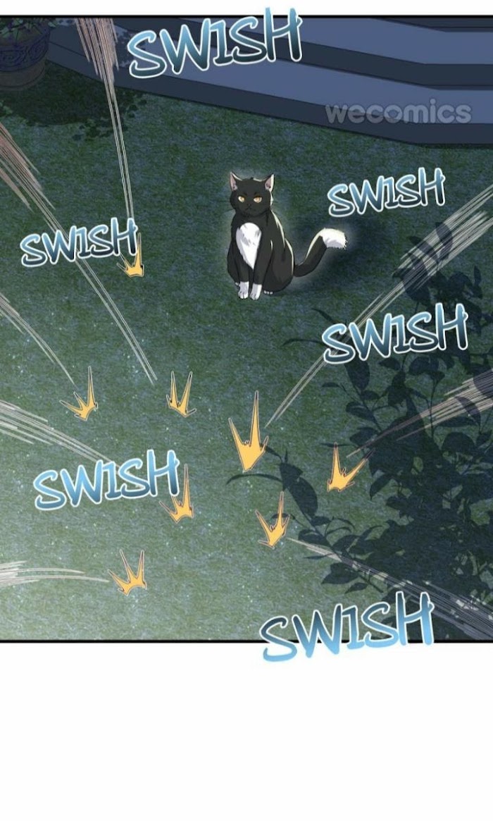 Read Pay Me Back, Mr. Cat chapter 3 image 40 on Lezhin