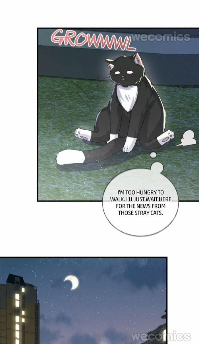 Read Pay Me Back, Mr. Cat chapter 3 image 41 on Lezhin