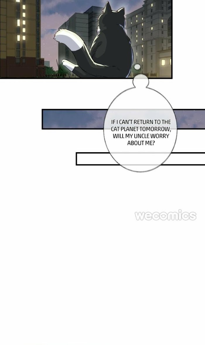 Read Pay Me Back, Mr. Cat chapter 3 image 42 on Lezhin