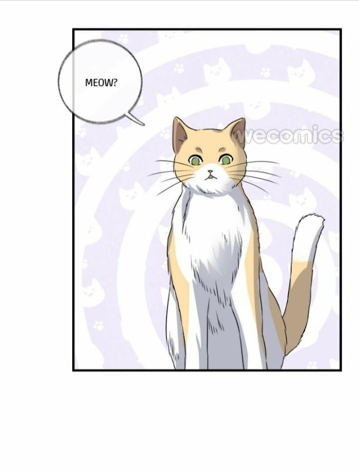 Read Pay Me Back, Mr. Cat chapter 3 image 54 on Lezhin