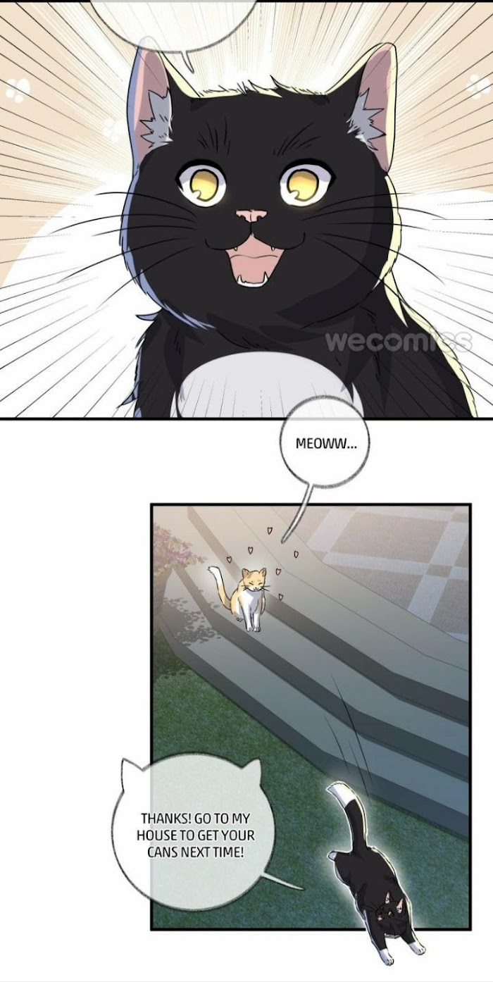 Read Pay Me Back, Mr. Cat chapter 3 image 56 on Lezhin