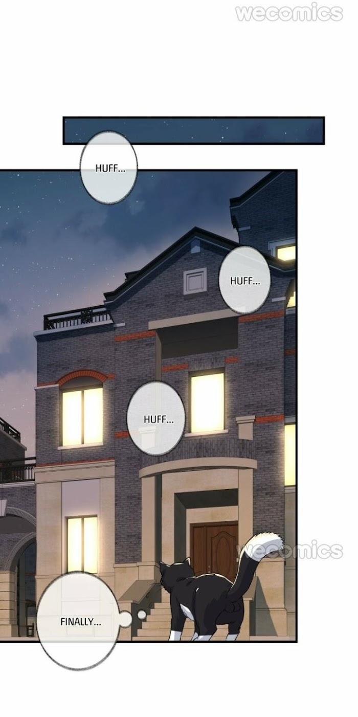 Read Pay Me Back, Mr. Cat chapter 3 image 57 on Lezhin