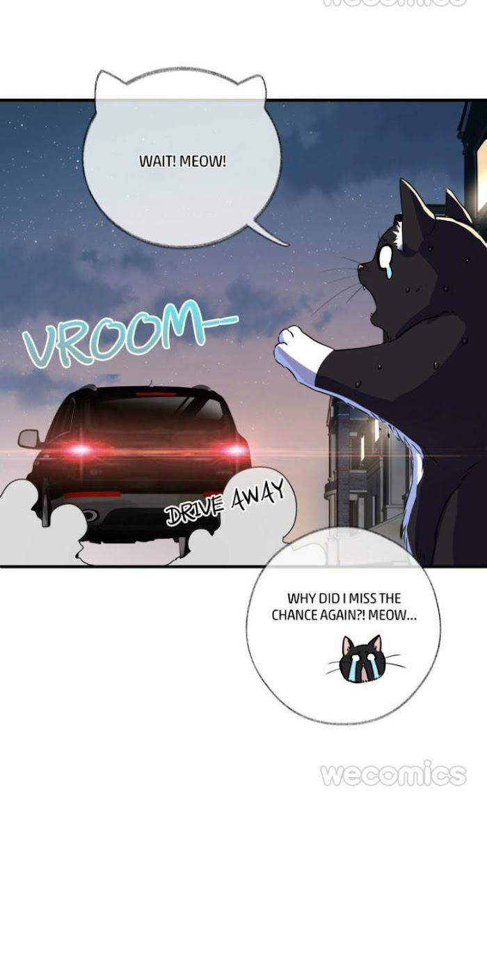 Read Pay Me Back, Mr. Cat chapter 3 image 59 on Lezhin