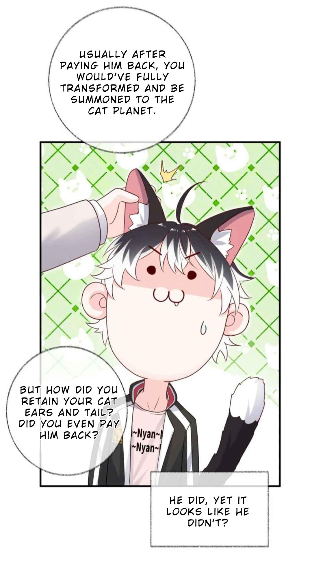 Read Pay Me Back, Mr. Cat chapter 31 image 27 on Lezhin
