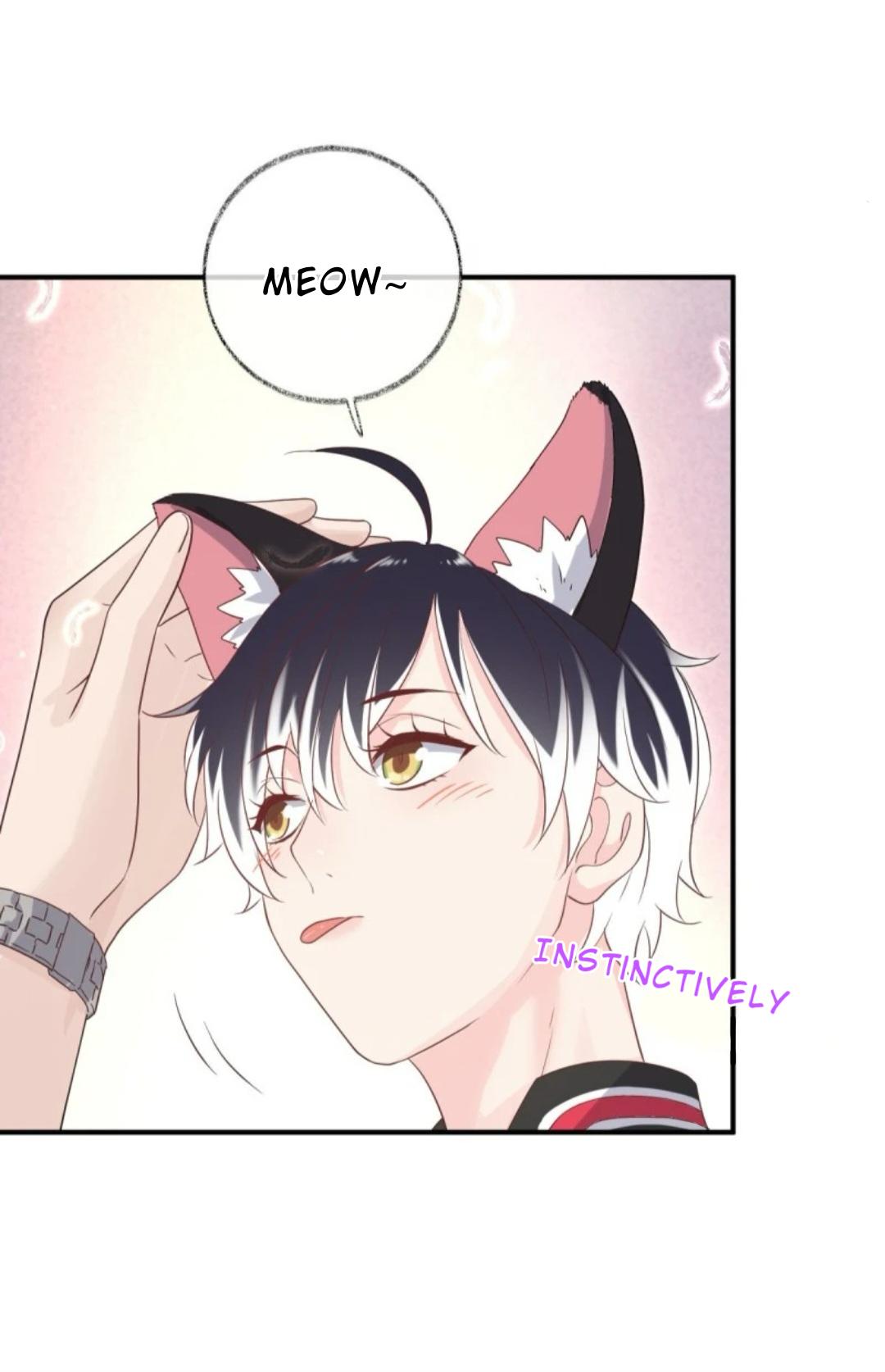 Read Pay Me Back, Mr. Cat chapter 31 image 3 on Lezhin