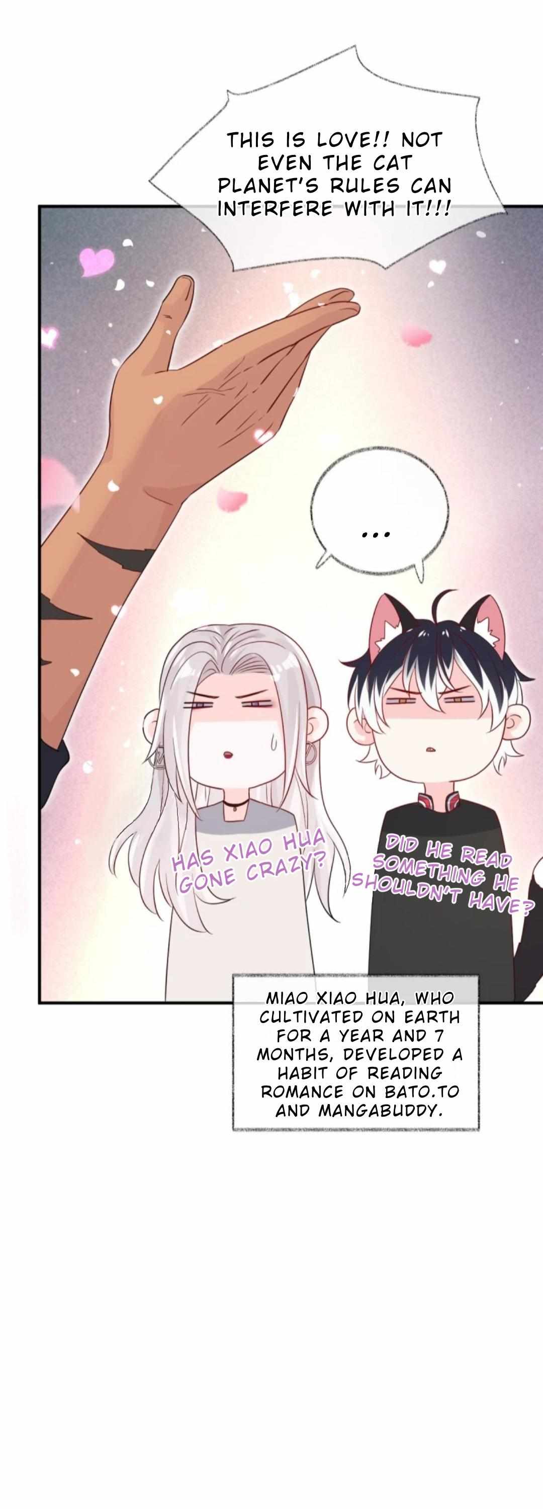 Read Pay Me Back, Mr. Cat chapter 31 image 30 on Lezhin