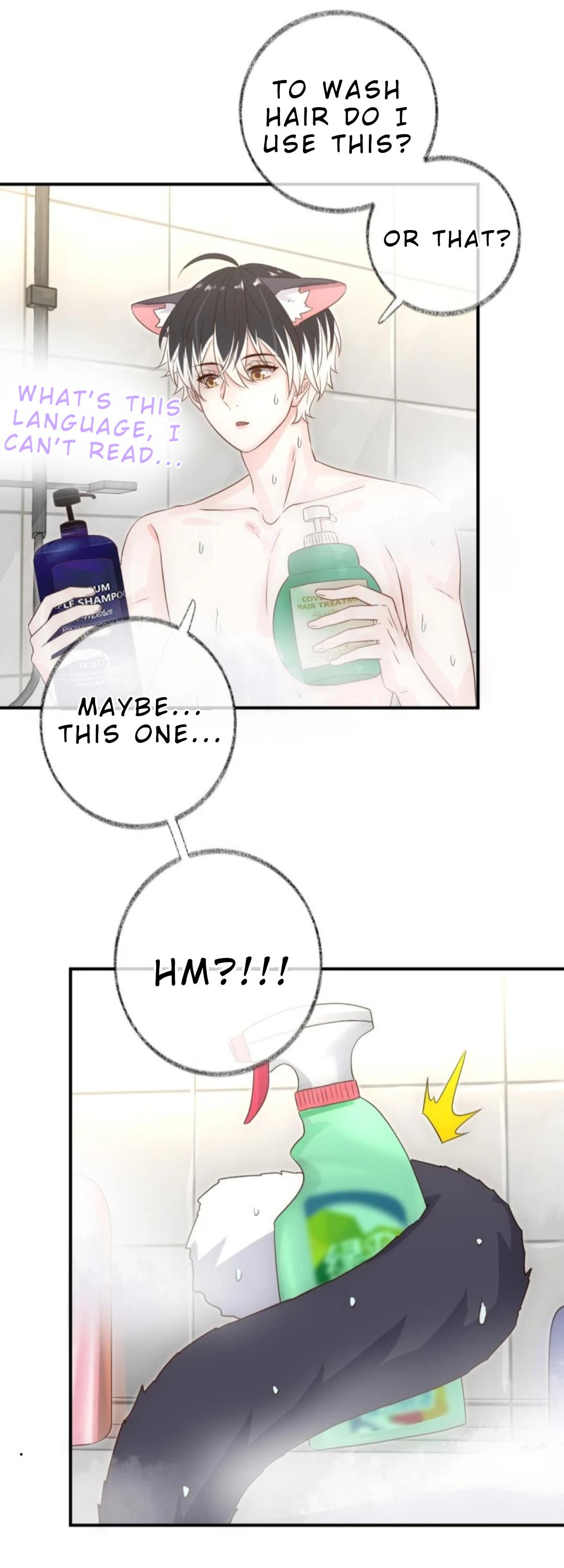Read Pay Me Back, Mr. Cat chapter 32 image 25 on Lezhin