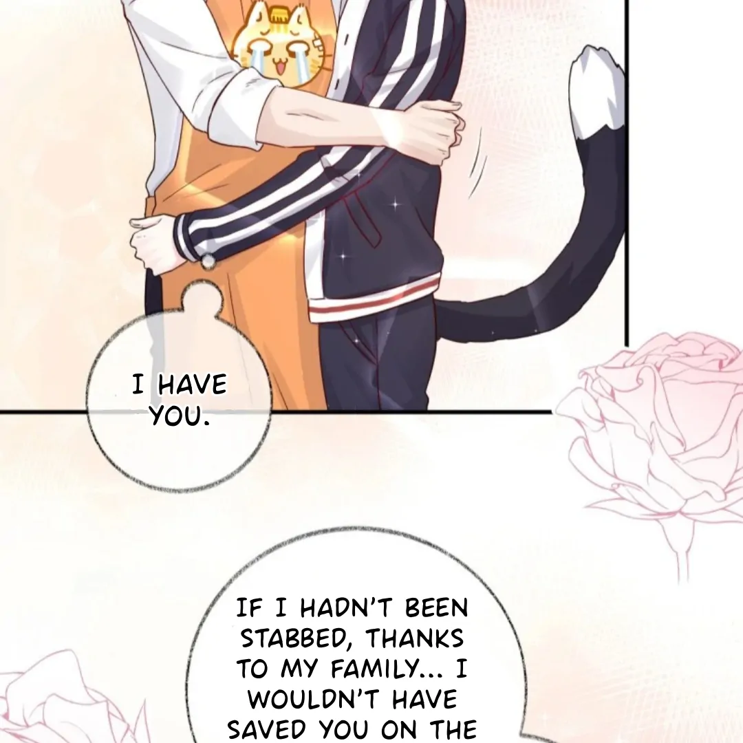 Read Pay Me Back, Mr. Cat chapter 35 image 20 on Lezhin