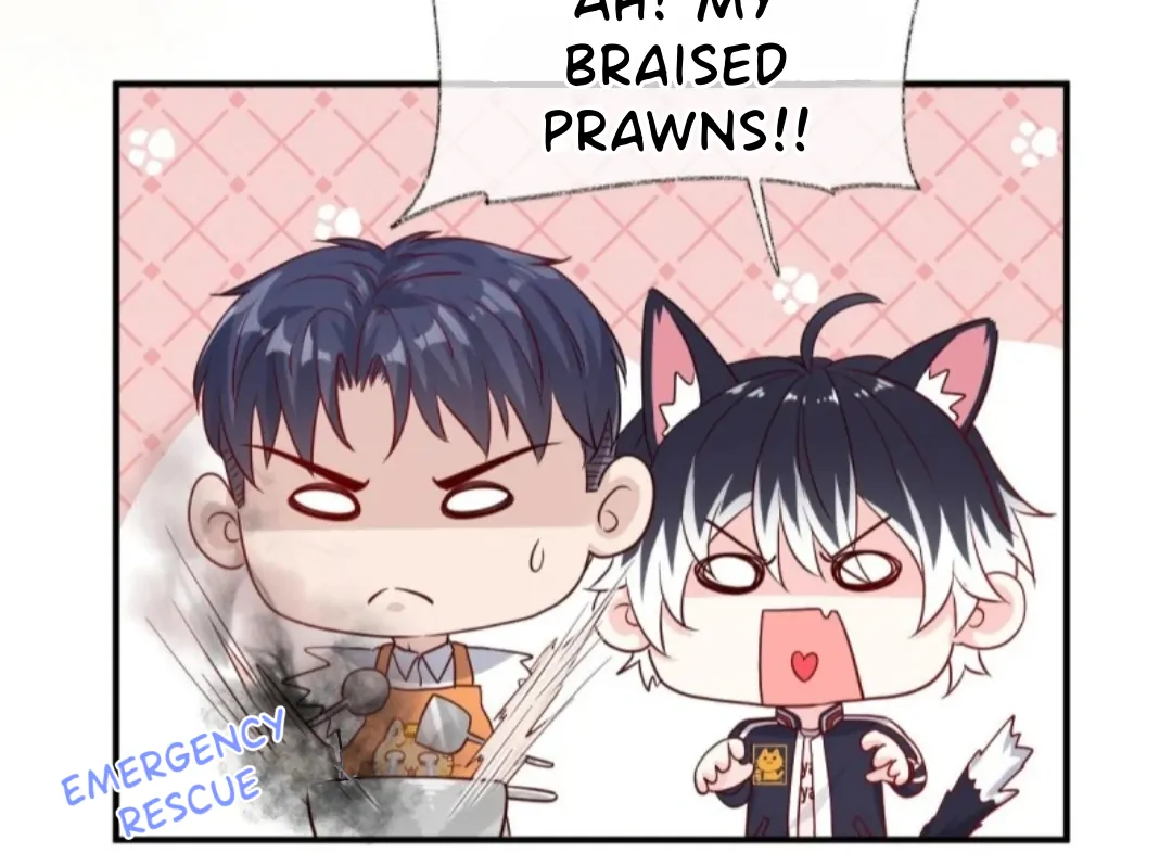 Read Pay Me Back, Mr. Cat chapter 35 image 24 on Lezhin