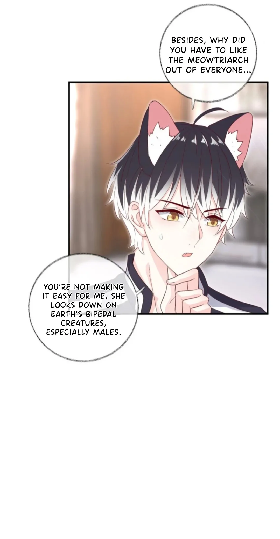 Read Pay Me Back, Mr. Cat chapter 35 image 6 on Lezhin