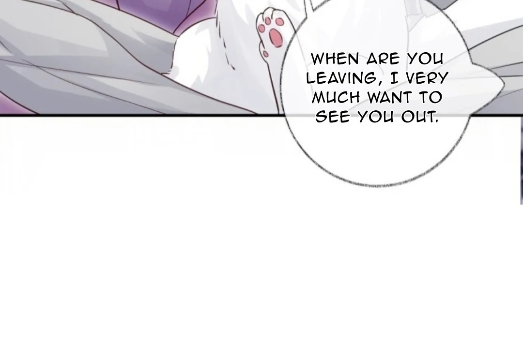 Read Pay Me Back, Mr. Cat chapter 37 image 10 on Lezhin