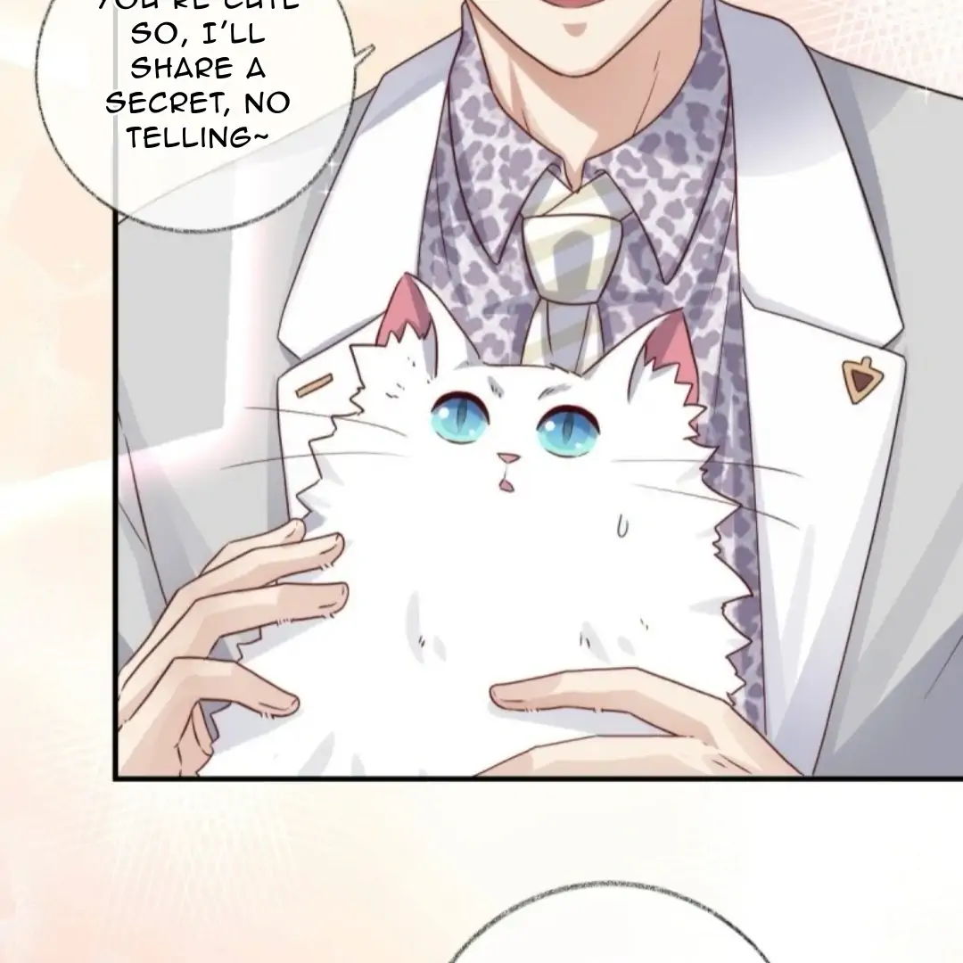 Read Pay Me Back, Mr. Cat chapter 37 image 12 on Lezhin
