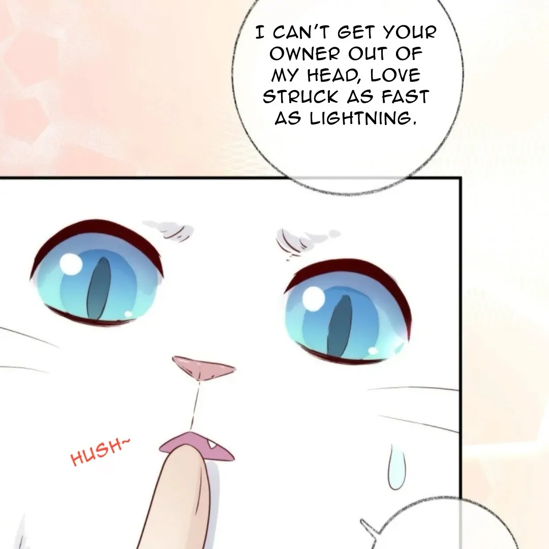 Read Pay Me Back, Mr. Cat chapter 37 image 13 on Lezhin