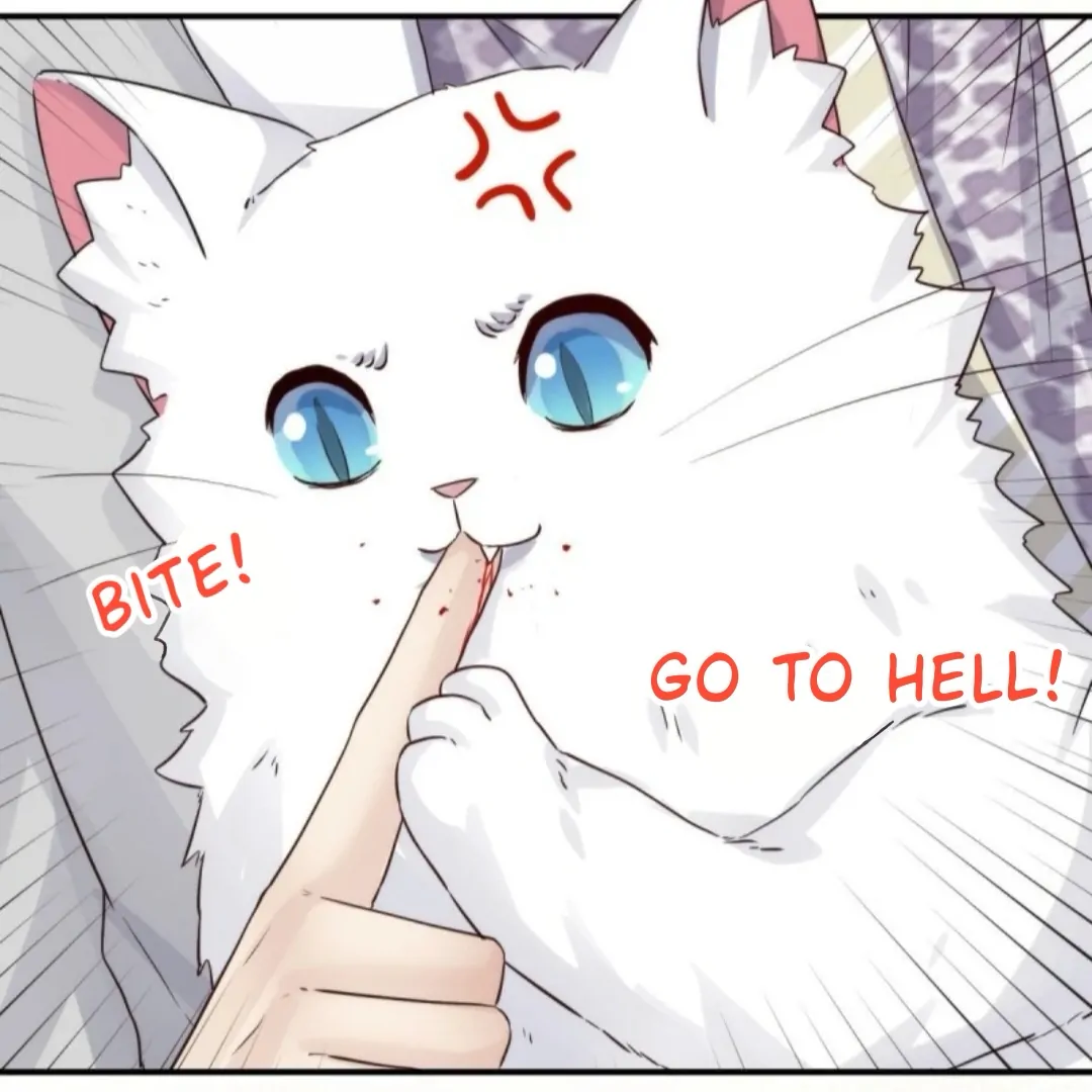 Read Pay Me Back, Mr. Cat chapter 37 image 15 on Lezhin