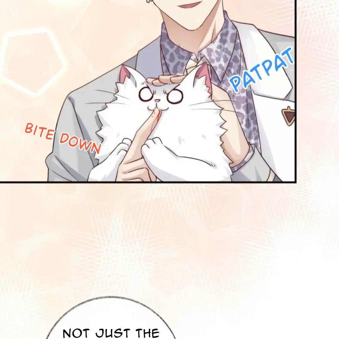 Read Pay Me Back, Mr. Cat chapter 37 image 17 on Lezhin