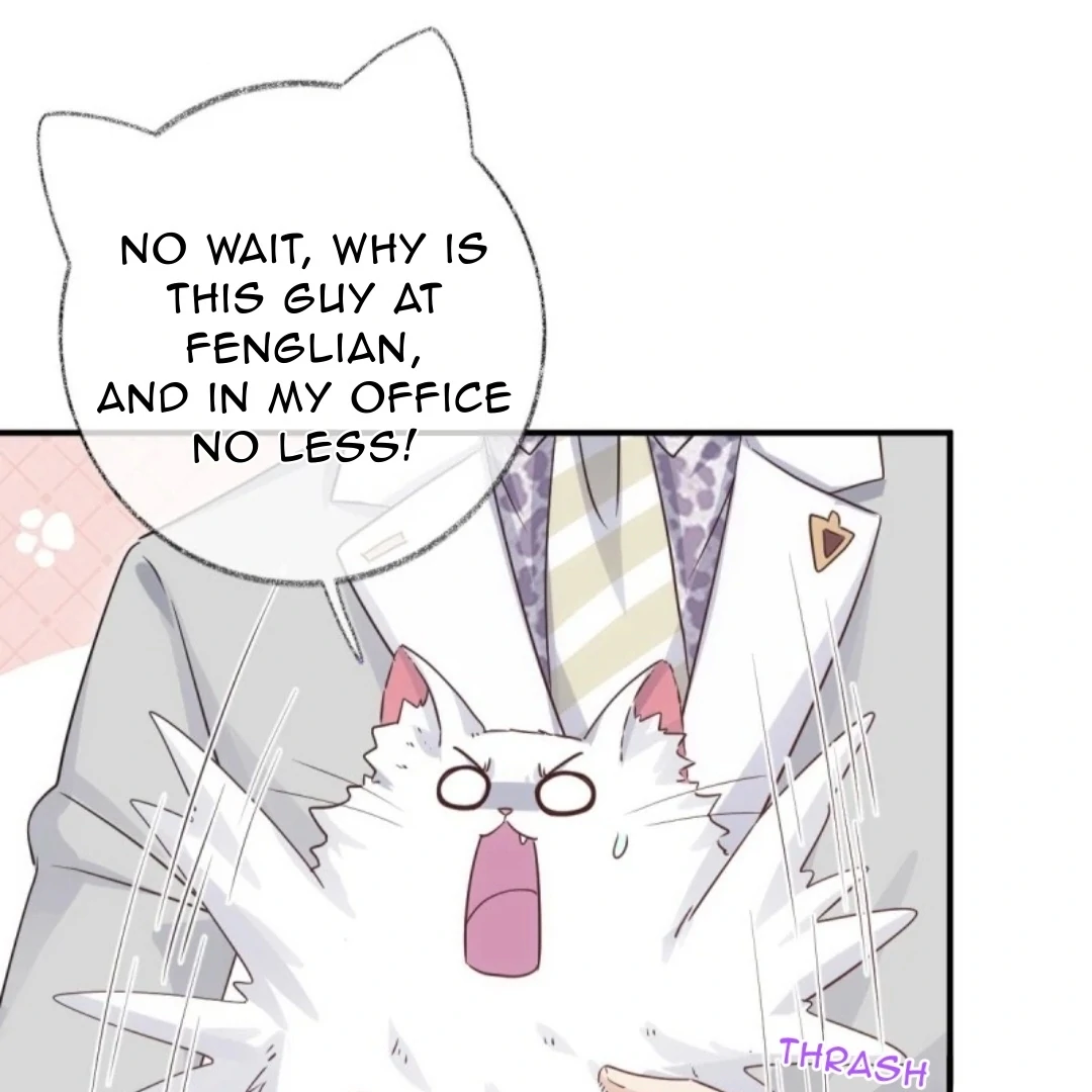 Read Pay Me Back, Mr. Cat chapter 37 image 5 on Lezhin