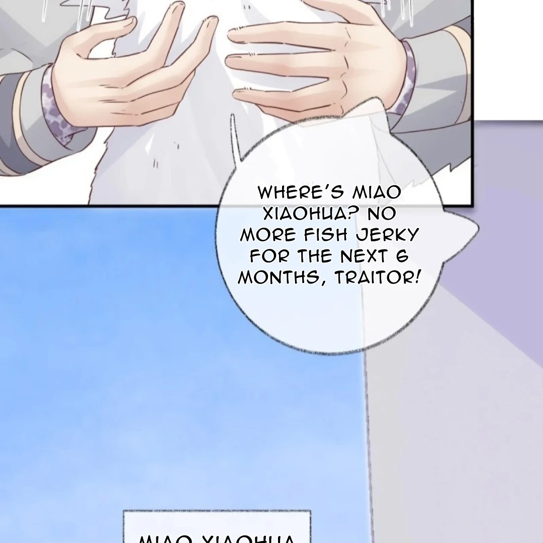 Read Pay Me Back, Mr. Cat chapter 37 image 6 on Lezhin