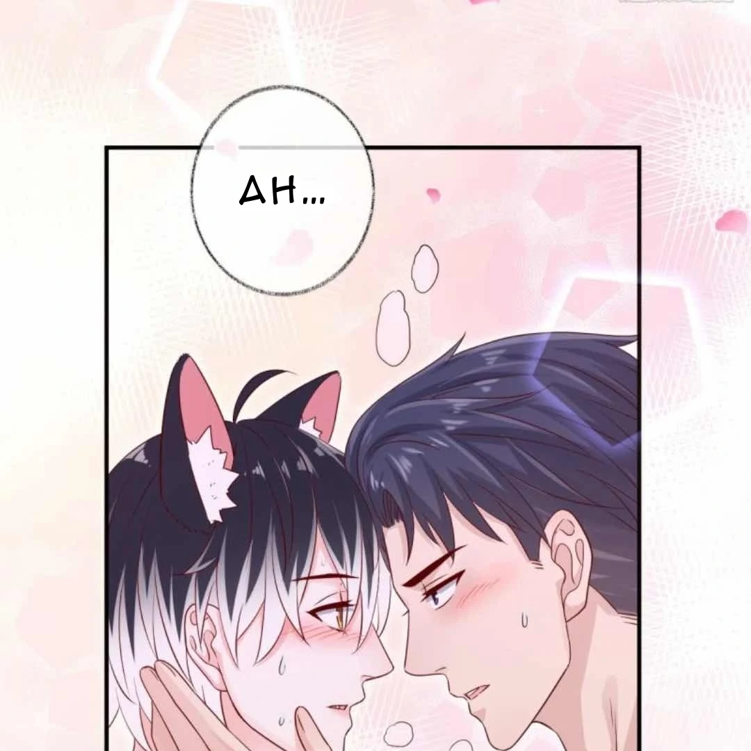 Read Pay Me Back, Mr. Cat chapter 38 image 11 on Lezhin