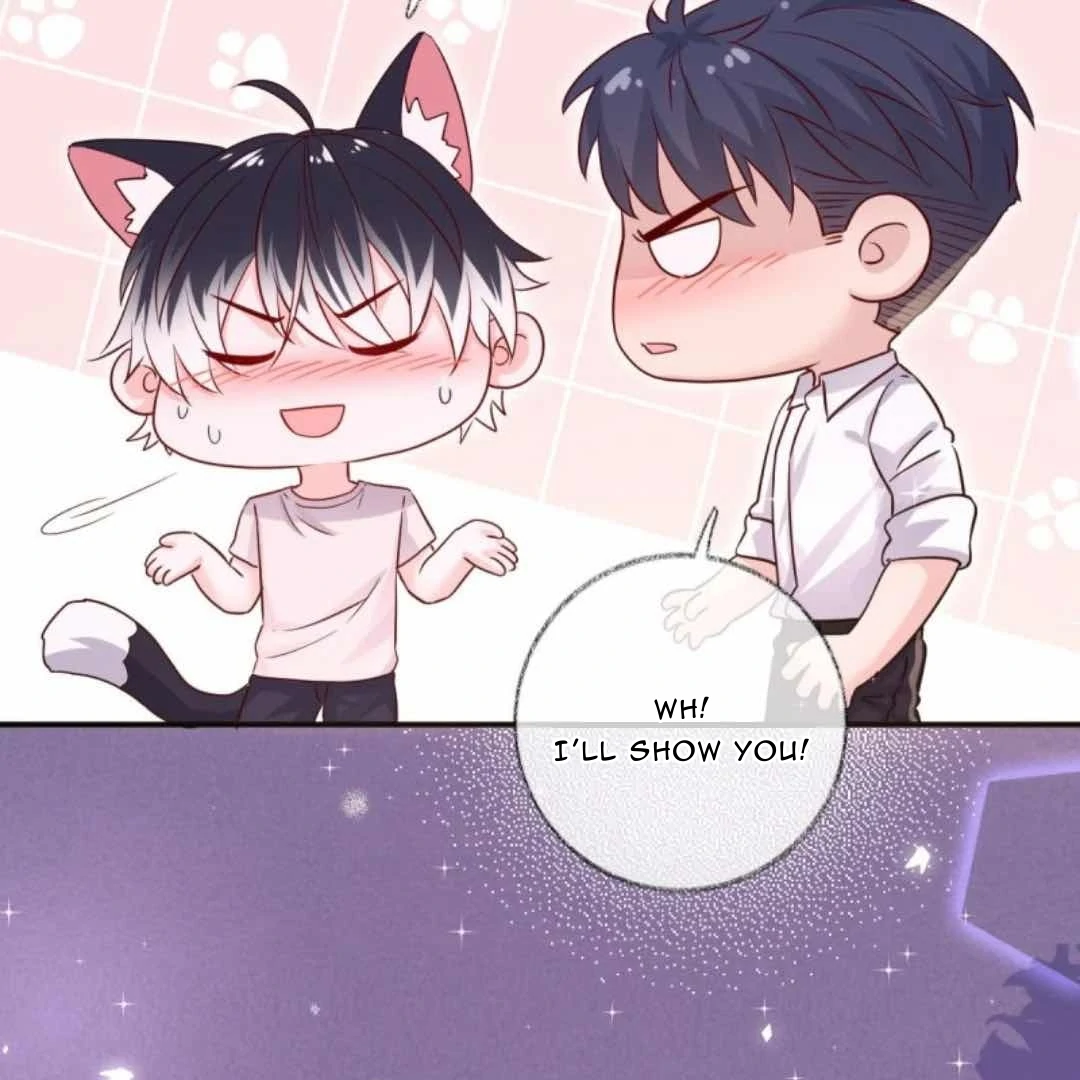 Read Pay Me Back, Mr. Cat chapter 38 image 15 on Lezhin