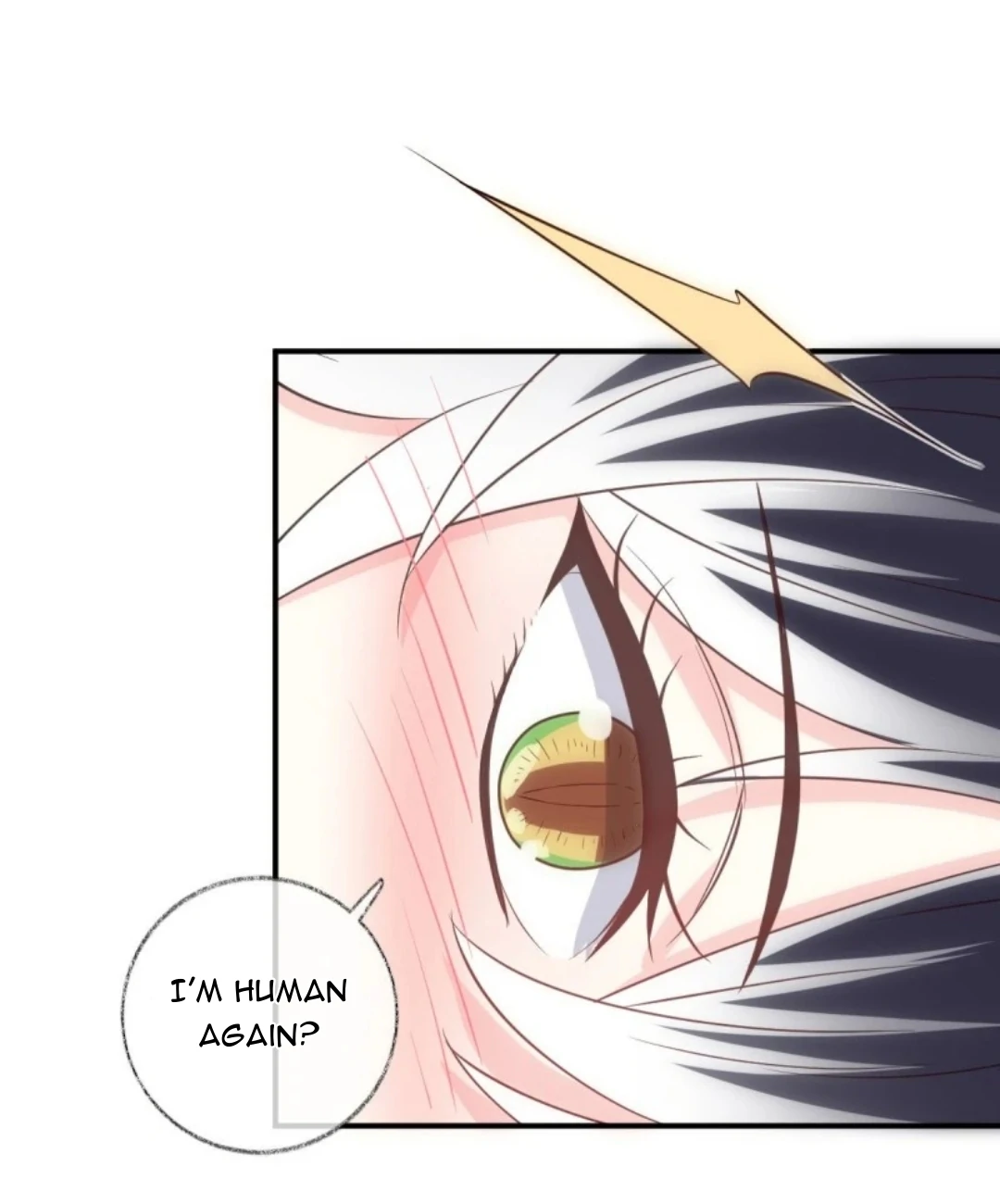 Read Pay Me Back, Mr. Cat chapter 38 image 38 on Lezhin