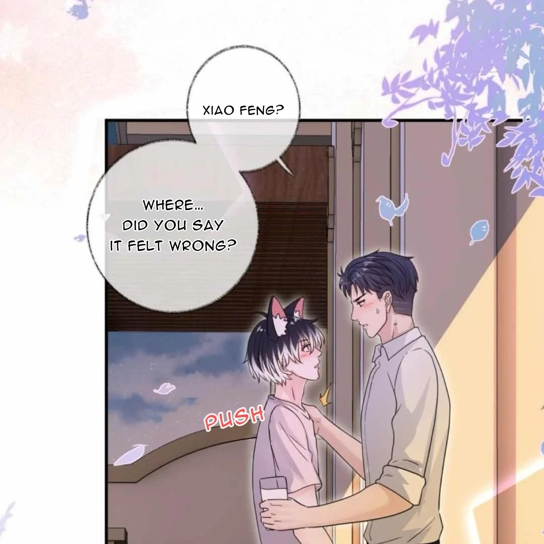 Read Pay Me Back, Mr. Cat chapter 38 image 4 on Lezhin