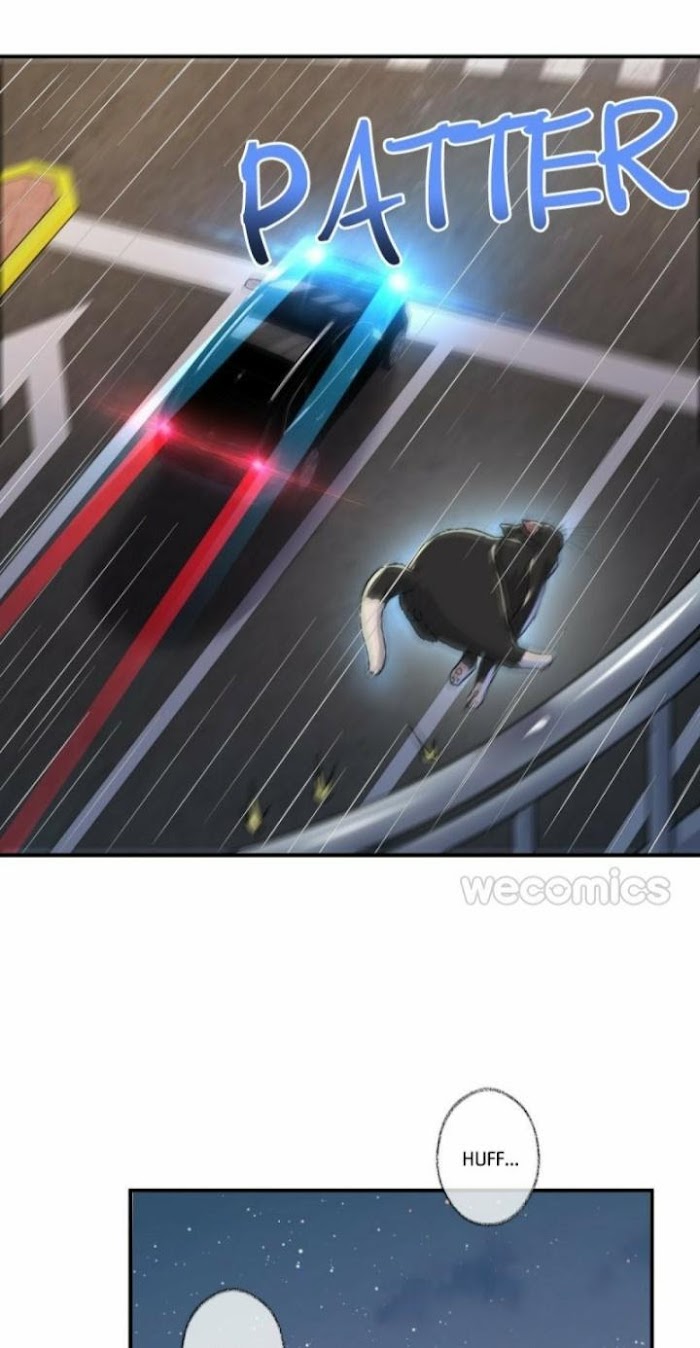 Read Pay Me Back, Mr. Cat chapter 4 image 10 on Lezhin