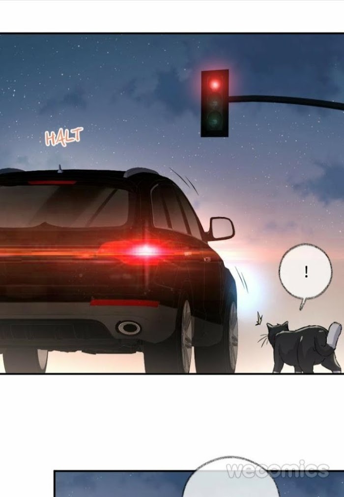 Read Pay Me Back, Mr. Cat chapter 4 image 12 on Lezhin