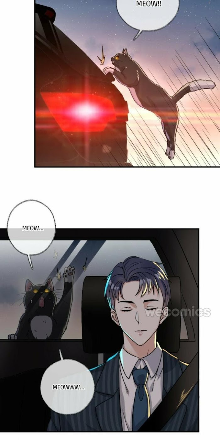 Read Pay Me Back, Mr. Cat chapter 4 image 13 on Lezhin