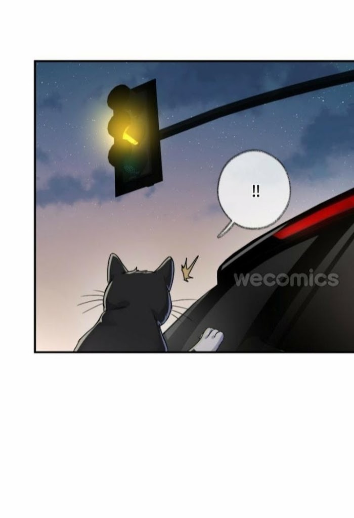 Read Pay Me Back, Mr. Cat chapter 4 image 14 on Lezhin