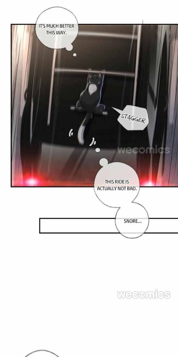 Read Pay Me Back, Mr. Cat chapter 4 image 18 on Lezhin