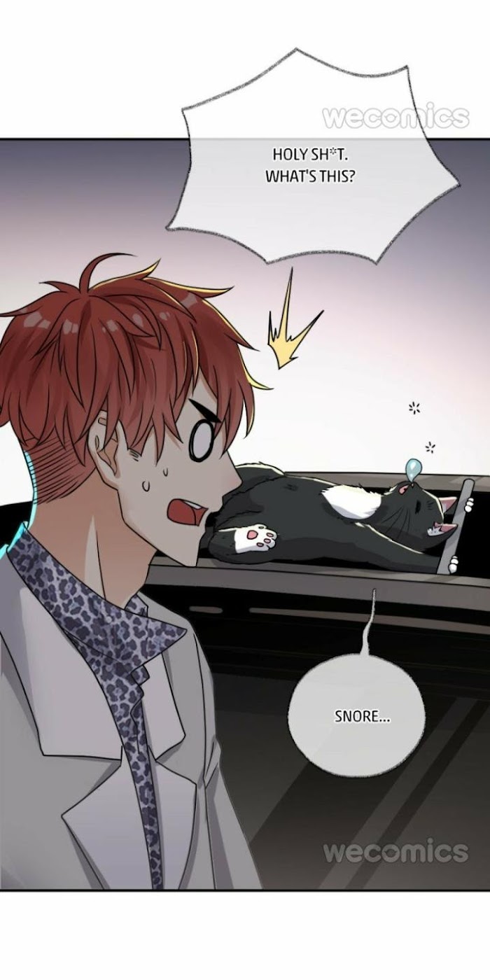 Read Pay Me Back, Mr. Cat chapter 4 image 22 on Lezhin