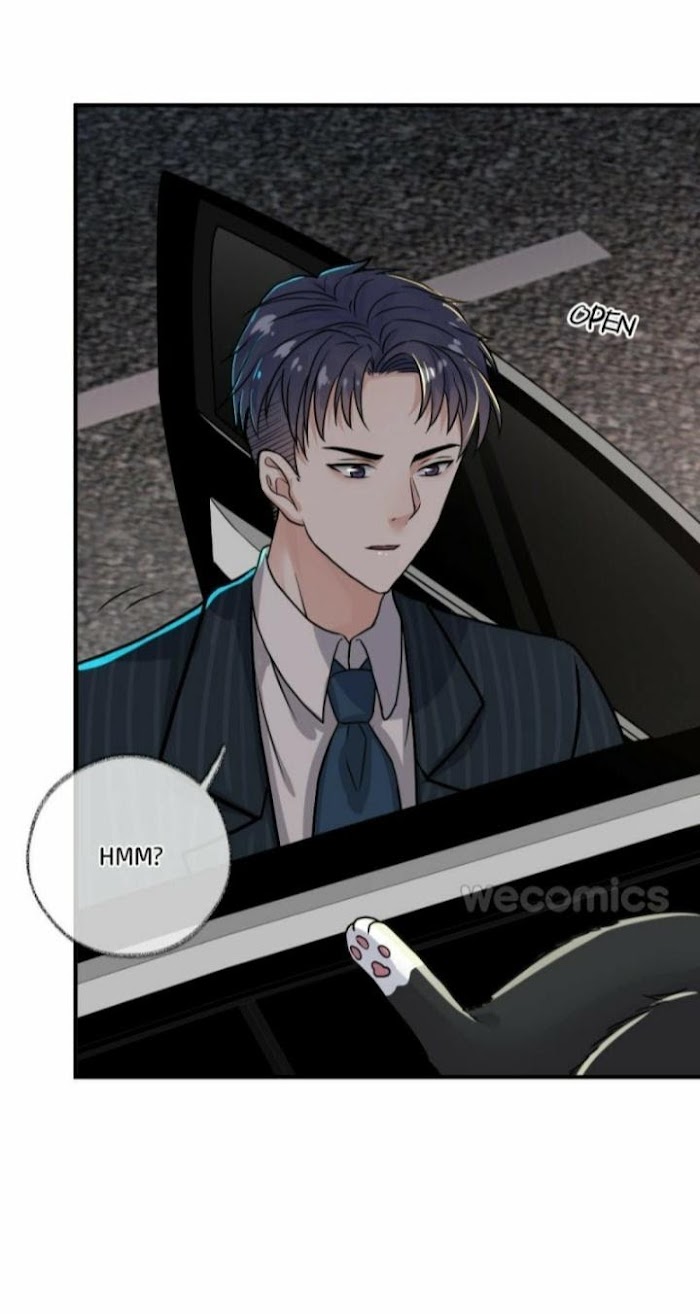 Read Pay Me Back, Mr. Cat chapter 4 image 23 on Lezhin
