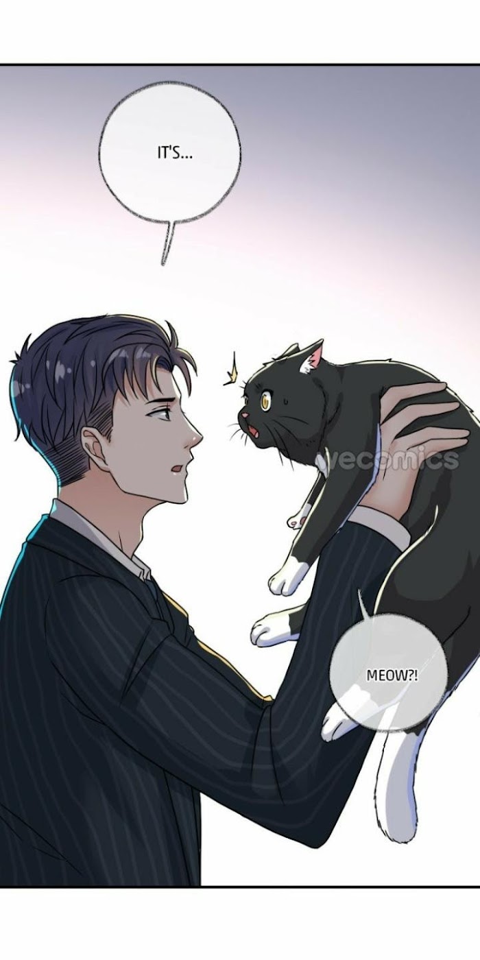 Read Pay Me Back, Mr. Cat chapter 4 image 24 on Lezhin