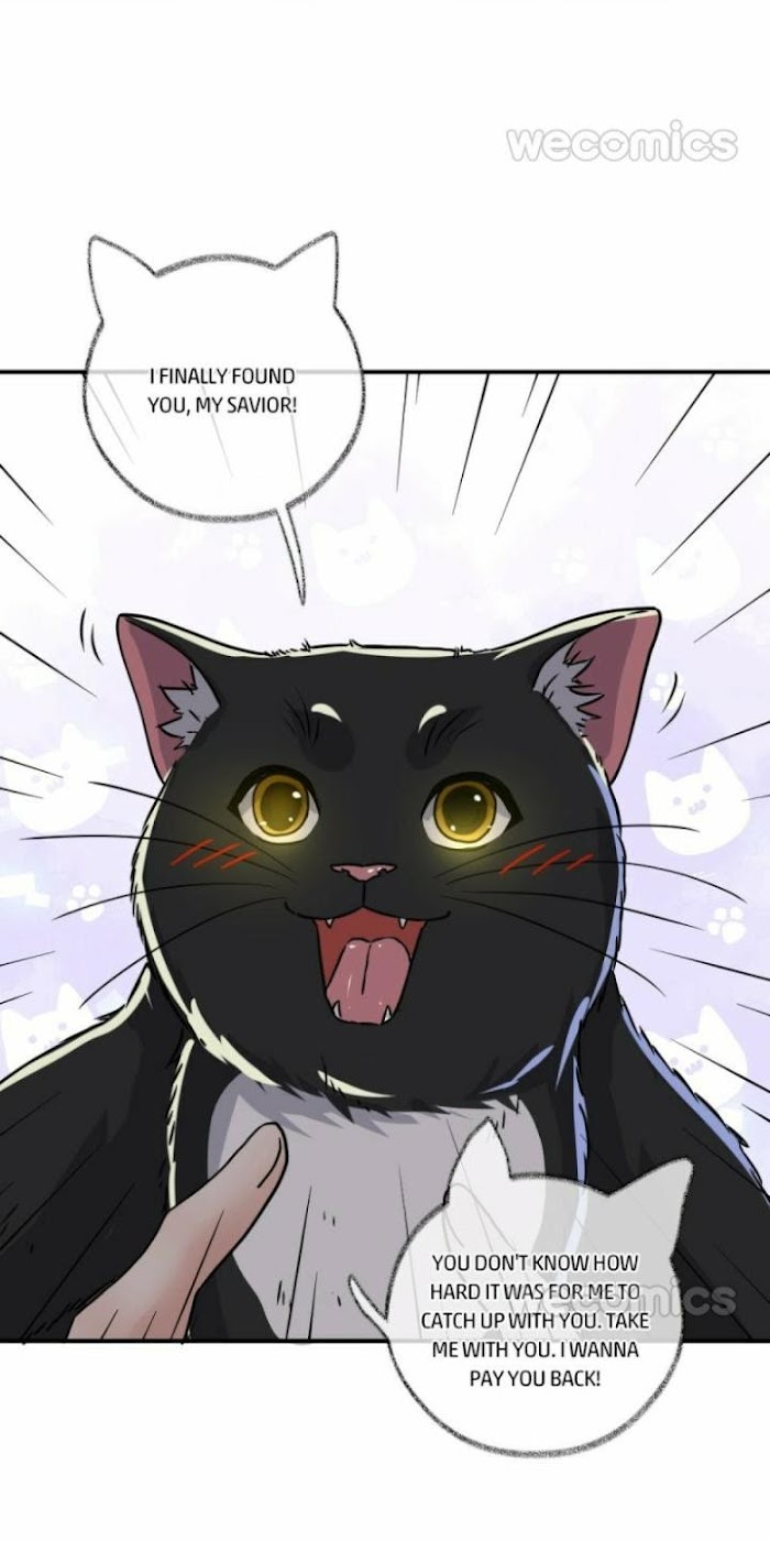 Read Pay Me Back, Mr. Cat chapter 4 image 25 on Lezhin