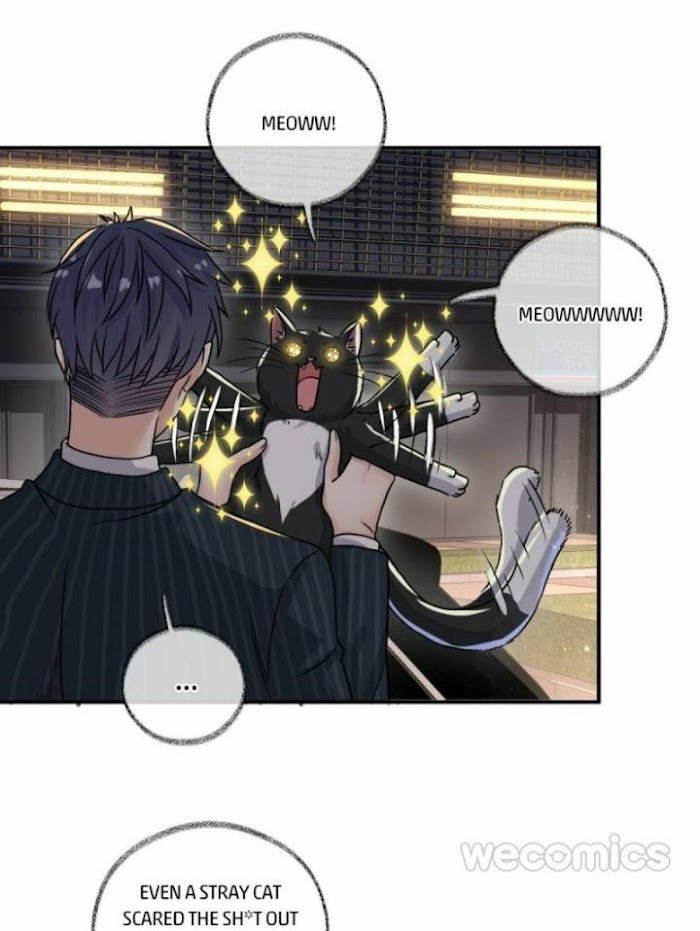 Read Pay Me Back, Mr. Cat chapter 4 image 26 on Lezhin