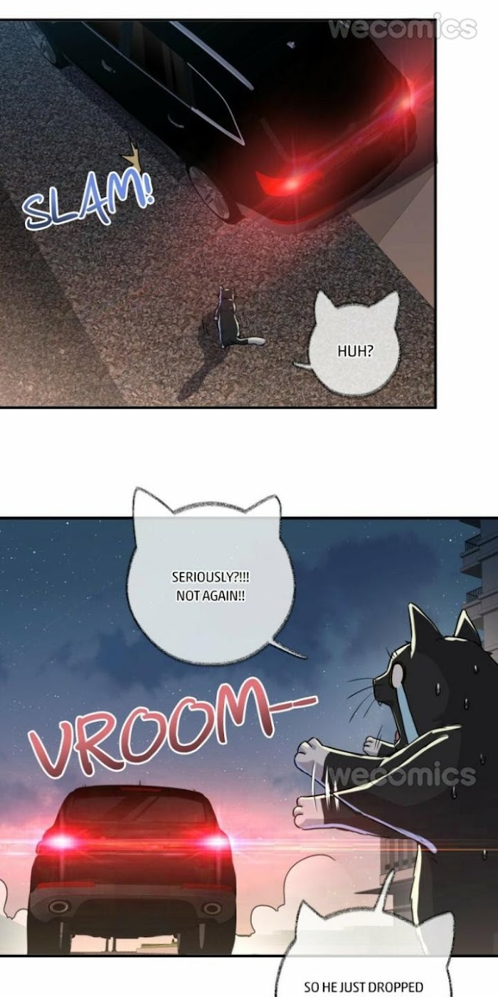 Read Pay Me Back, Mr. Cat chapter 4 image 28 on Lezhin
